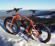 Elektro Fatbike